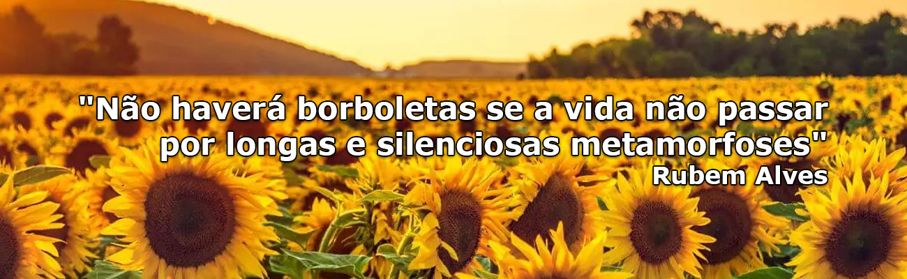 campo de girassóis com a frase 